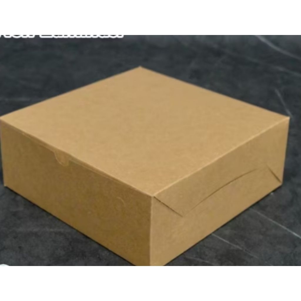 Box nasi coklat polos 18*18 cm ( 100 pcs )