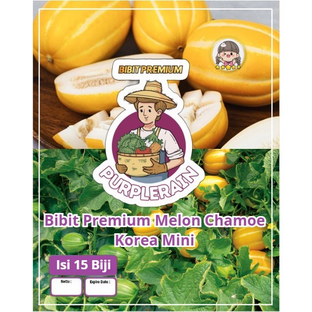 Bibit Premium Melon Chamoe Korea Mini | Biji Benih Melon Korea | Melon Korea