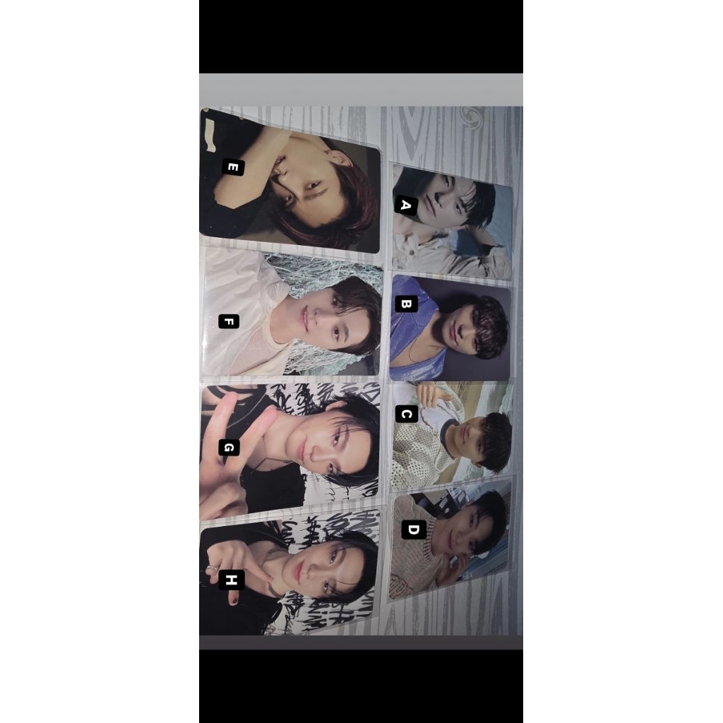 PHOTOCARD DINO SEVENTEEN