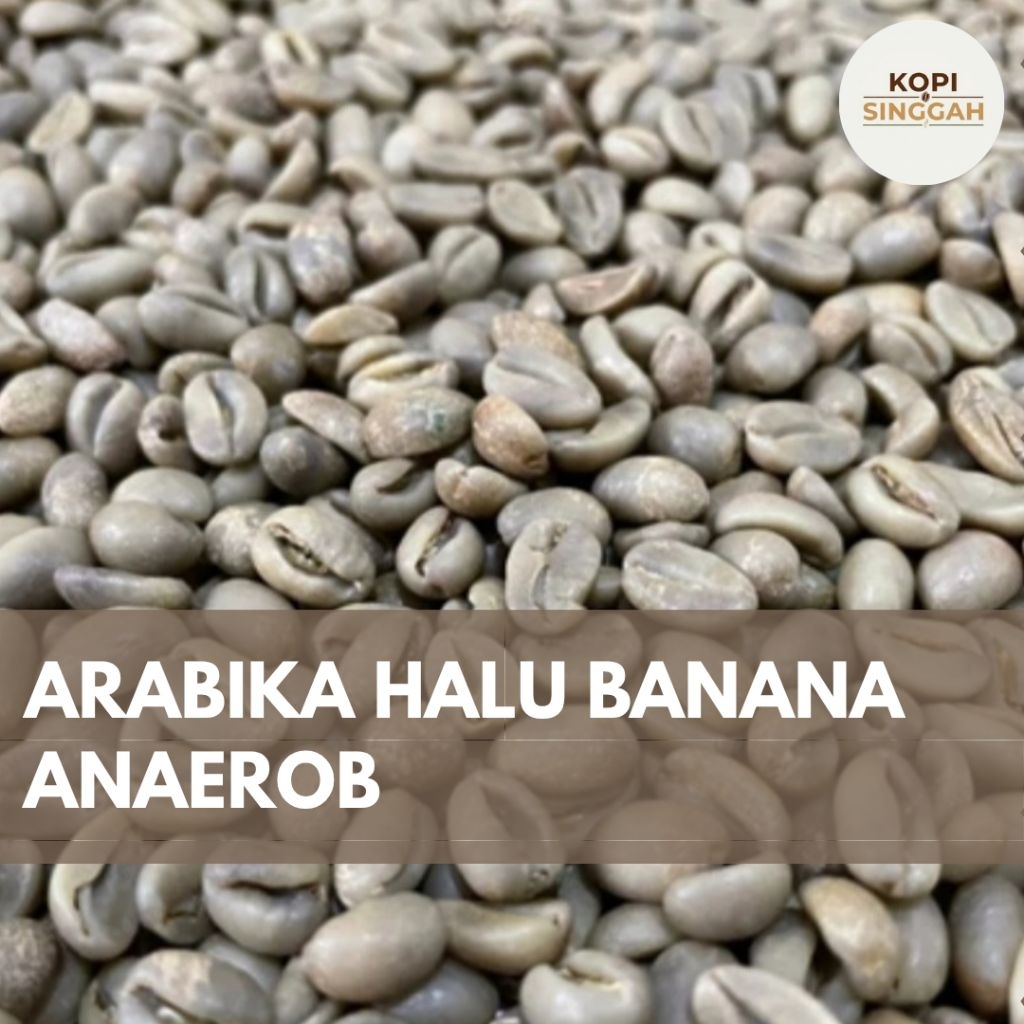 GreenBean Arabika Halu Banana Anaerob Proses