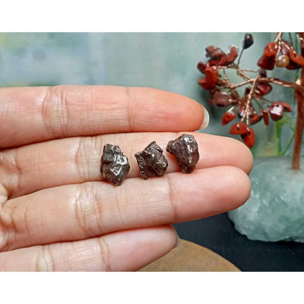 Batu meteorite crystal campo del cielo (9)