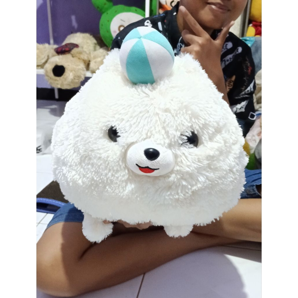Boneka Anjing Amuse / Boneka Anjing lucu murah
