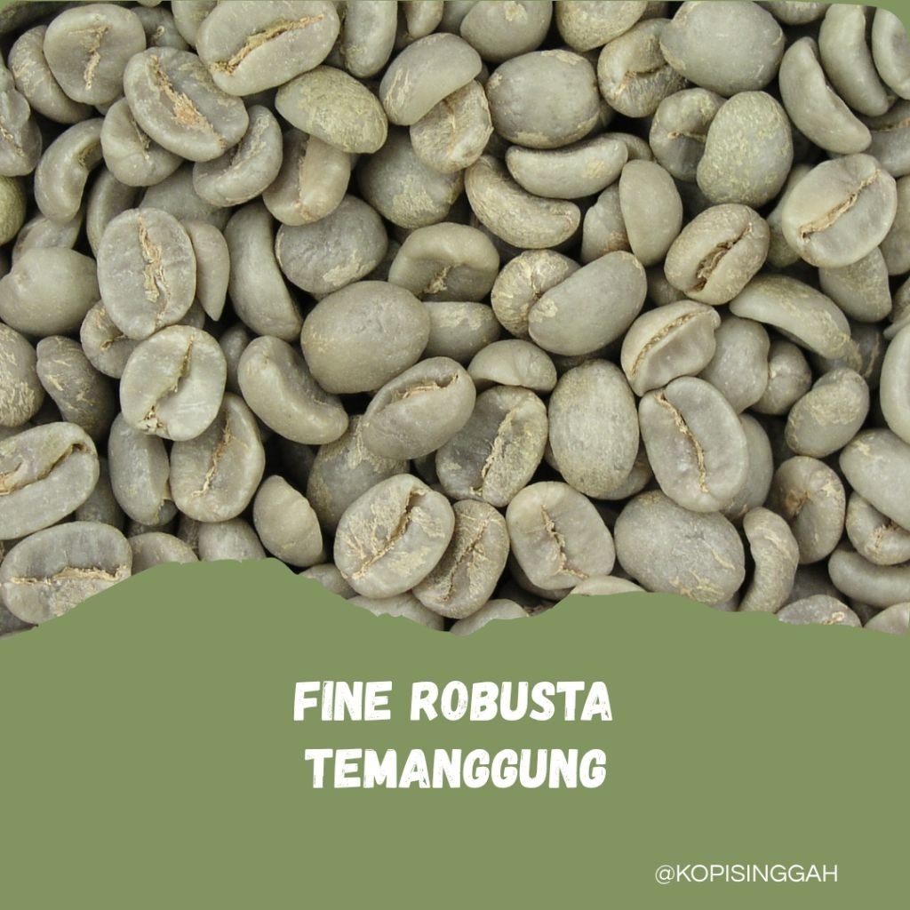 GreenBean FINE / NATURAL Robusta Temanggung
