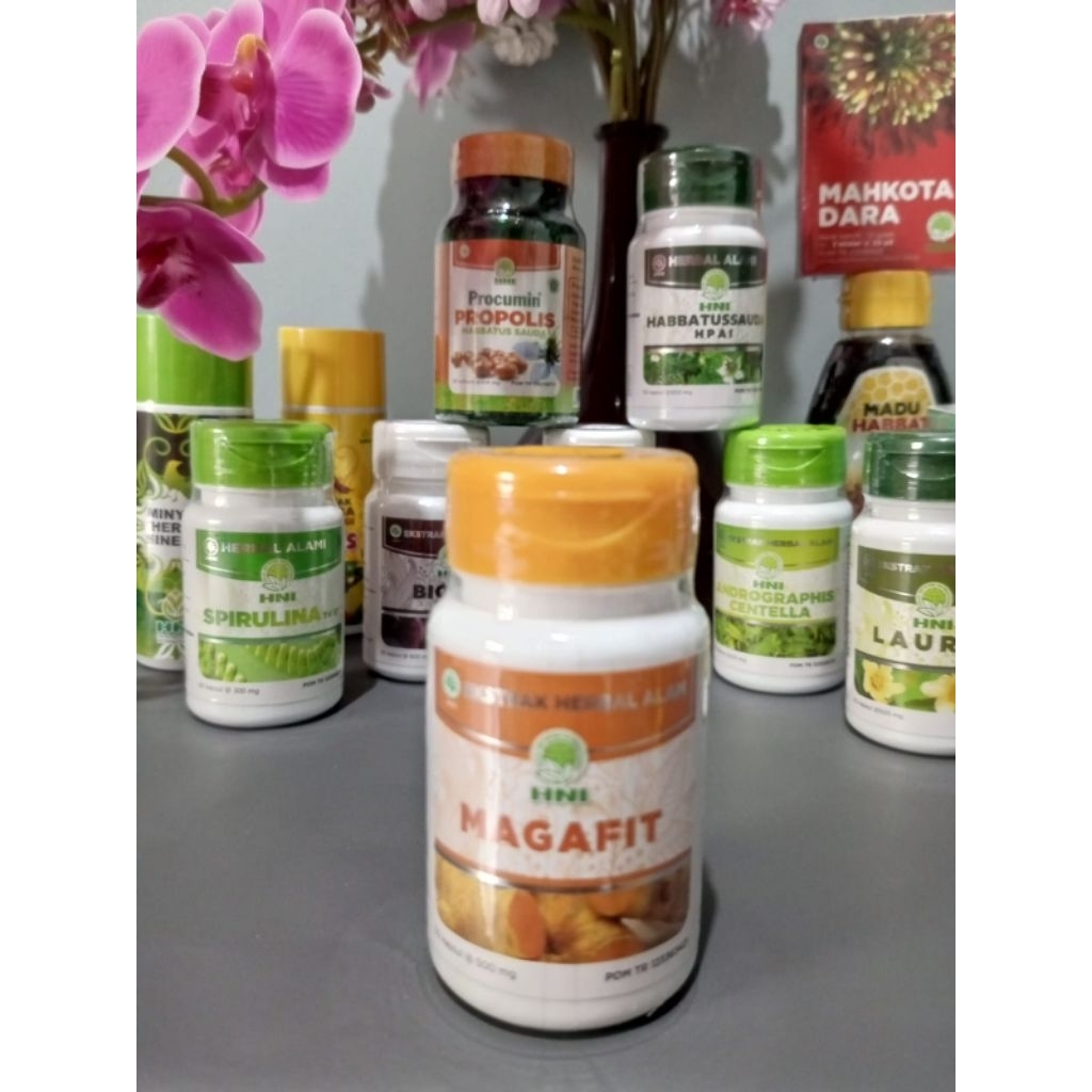 MAGAFIT HNI HPAI untuk mengatasi asam lambung.