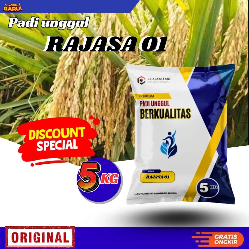 padi Rajasa 01 5kg