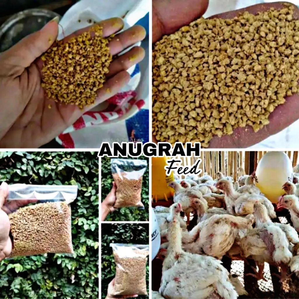 10kg Pur Ayam Pedaging Pakan Ternak Tinggi Protein ANUGRAH FEED