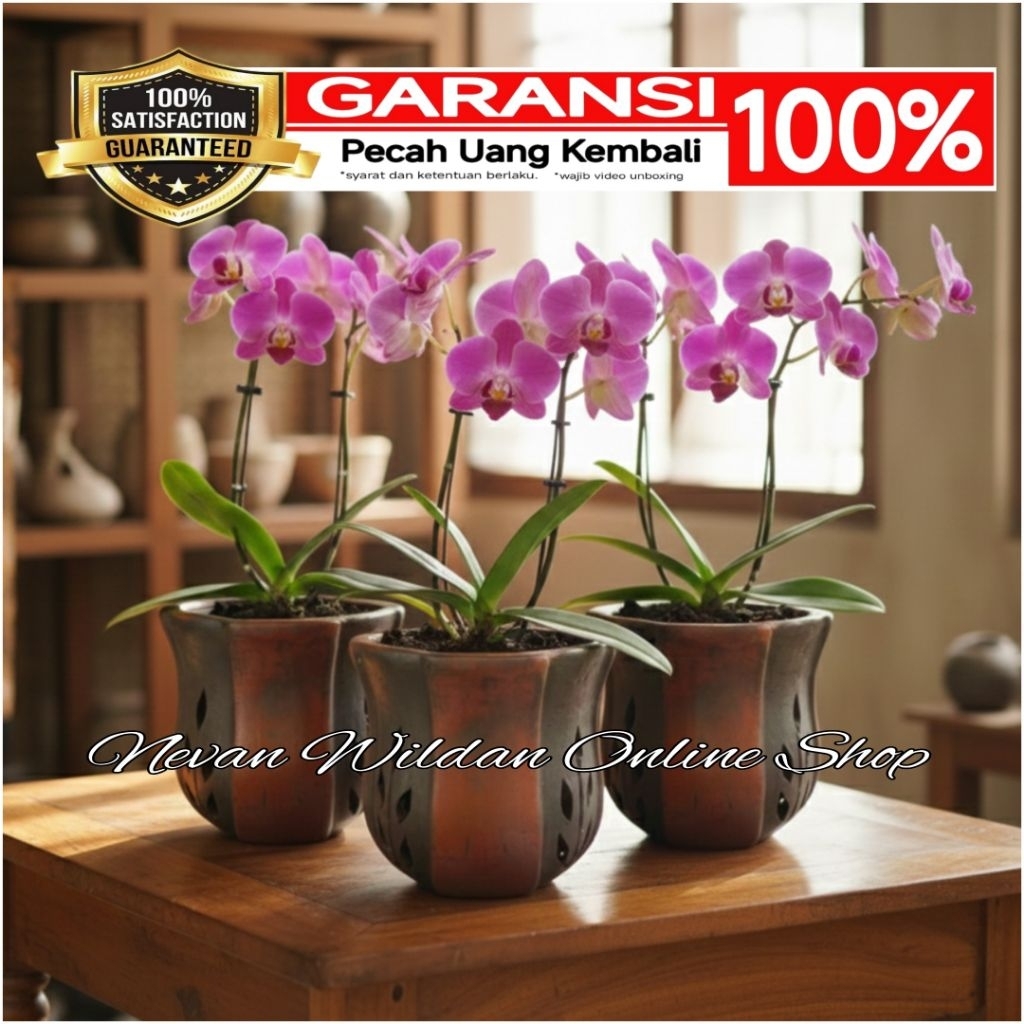 POT ANGGREK TANAH LIAT | POT GERABAH | POT TRADISIONAL | POT ANGGREK TANAH LIAT