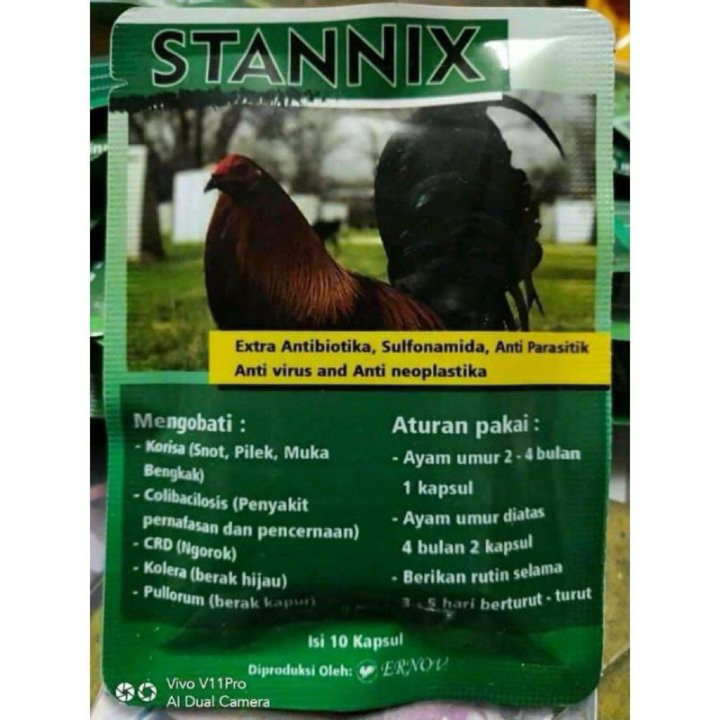 stanix mengobati ayam ngorok,pilek,snot,berak hijau dan berak kapur