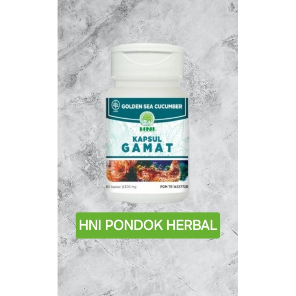 GAMAT HNI untuk meredakan nyeri sendi