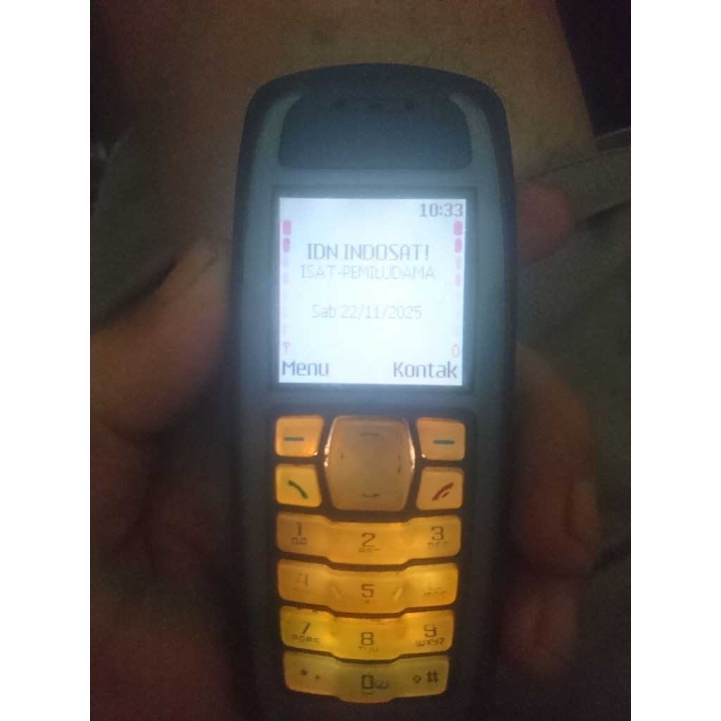 nokia 3100