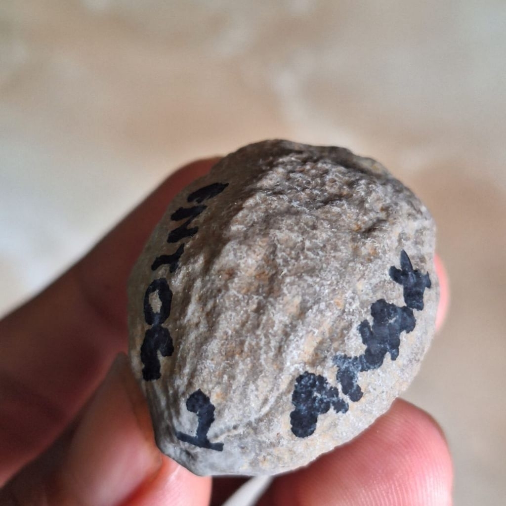 MUNCANG ADU JAYANTI ANAK SI ENTOG PASANGAN SUPER