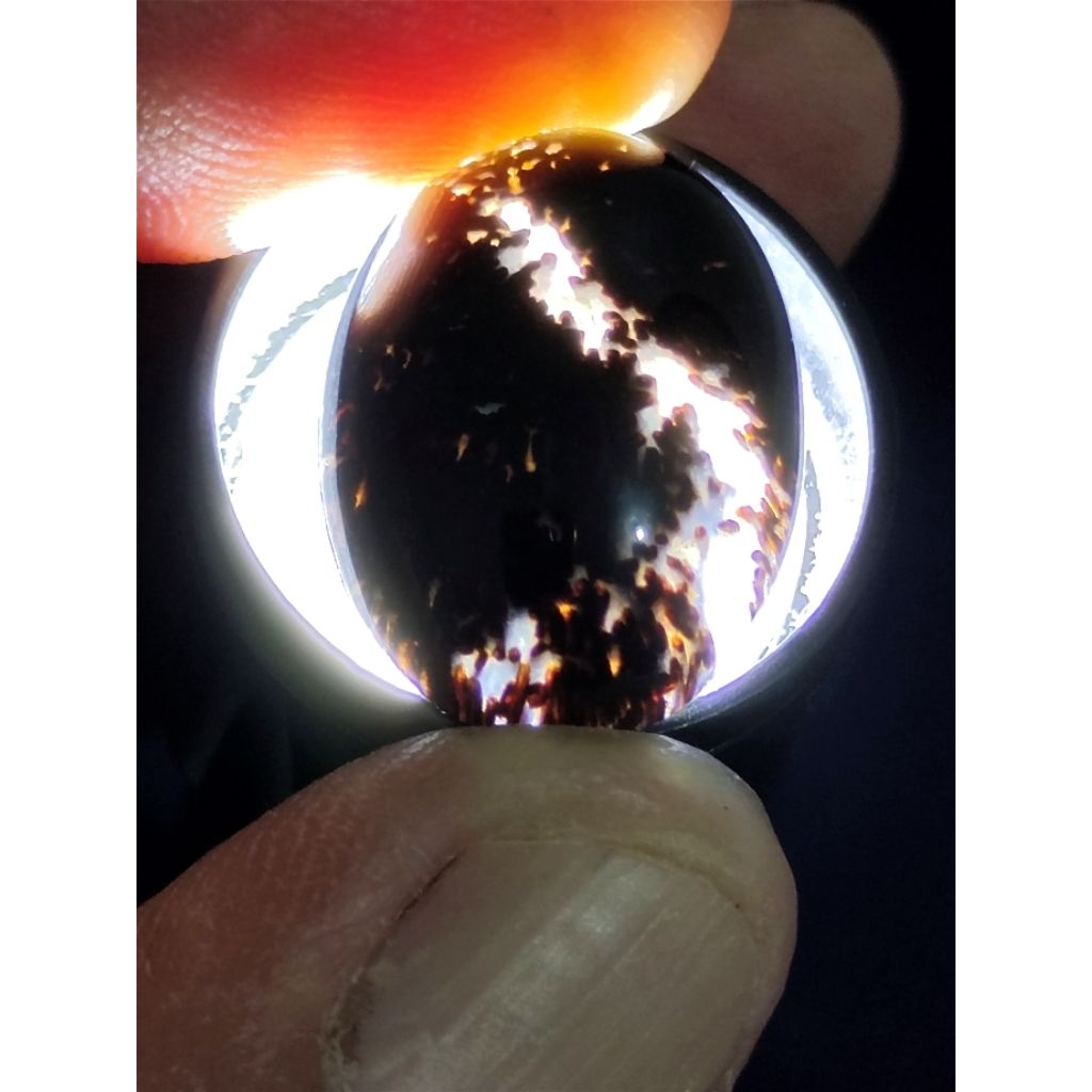 Loose Stone - Natural Kelor Petrified Wood Crystal / Batu Fosil Kayu Kelor Kristal, 2