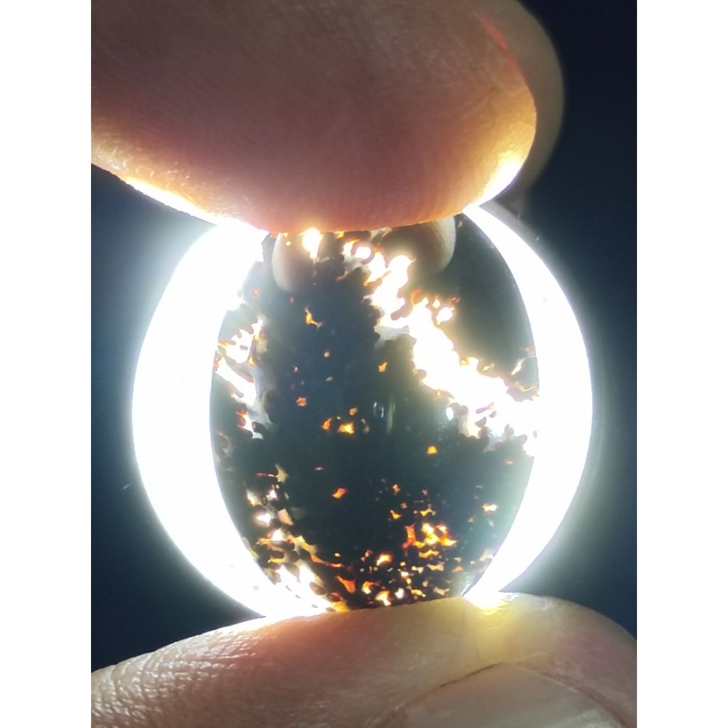 Loose Stone - Natural Kelor Petrified Wood Crystal / Batu Fosil Kayu Kelor Kristal, 1