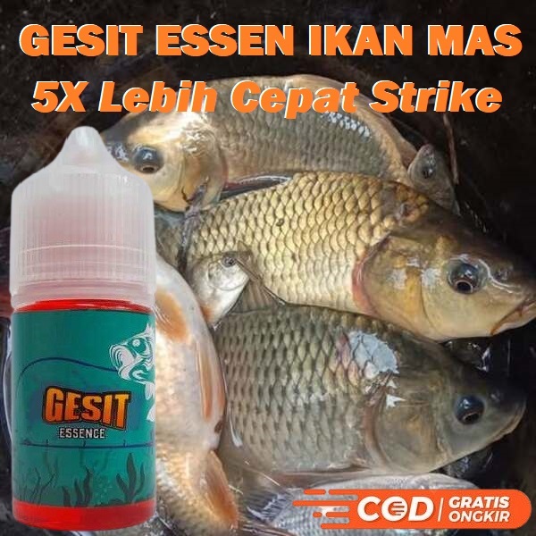 GESIT ESSEN IKAN MAS UMPAN OTOK OTOK SIAP PAKAI ISI 30ML