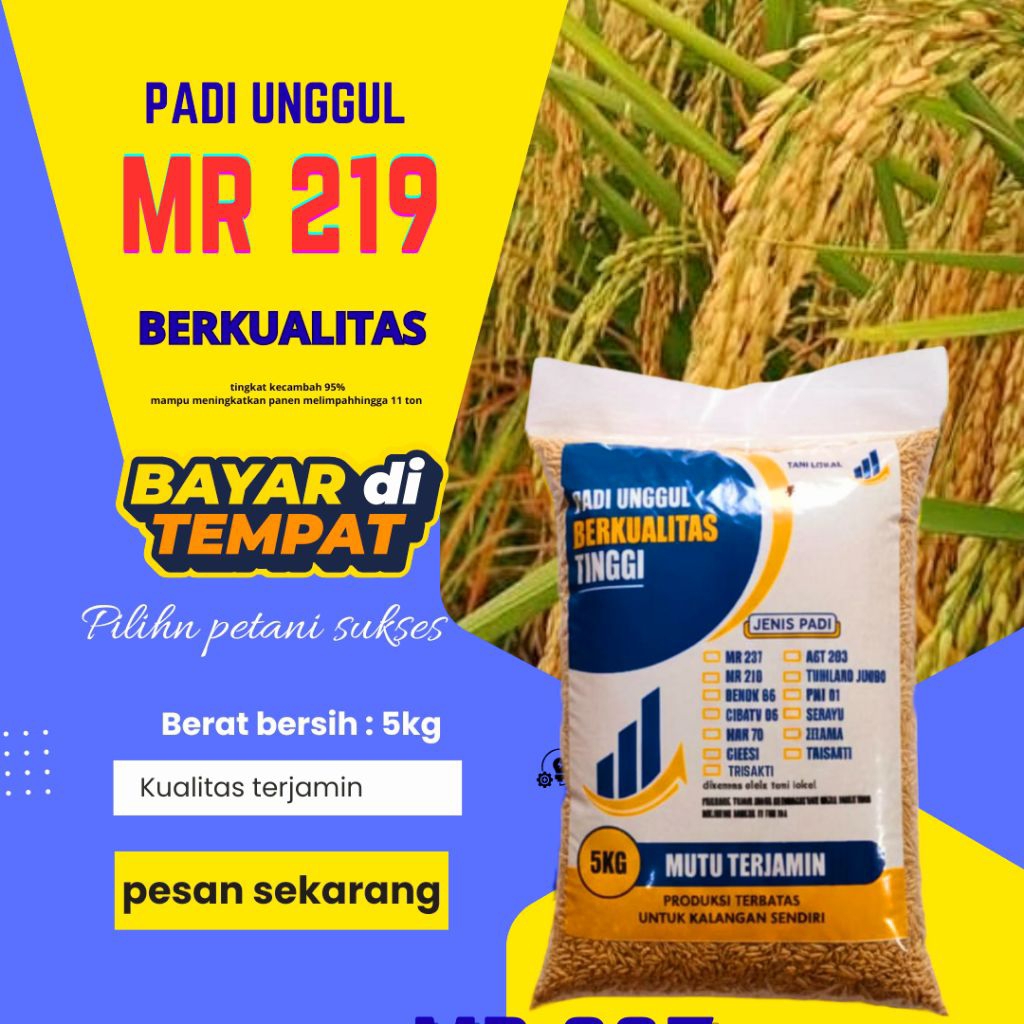 BENIH PADI MR 219 KEMASAN 5KG