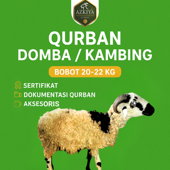 Qurban domba/kambing 20 - 22 kg - Pengiriman ke alamat tujuan (khusus wilayah Bogor)