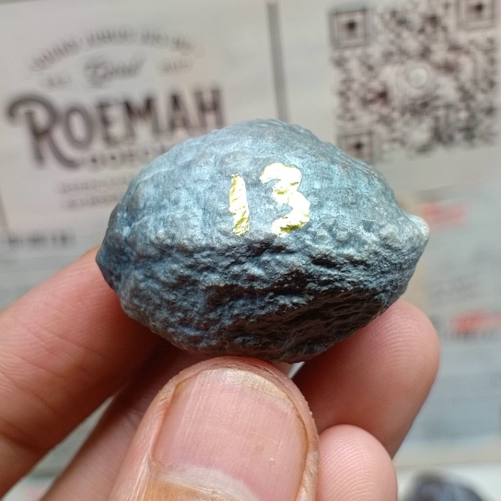 Muncang Adu Pait x Herkules kode 13