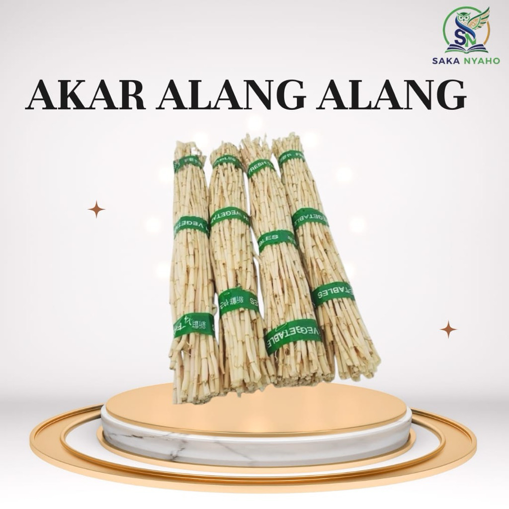 Akar Alang Alang Fresh 5kg Akar Alang Alang Herbal