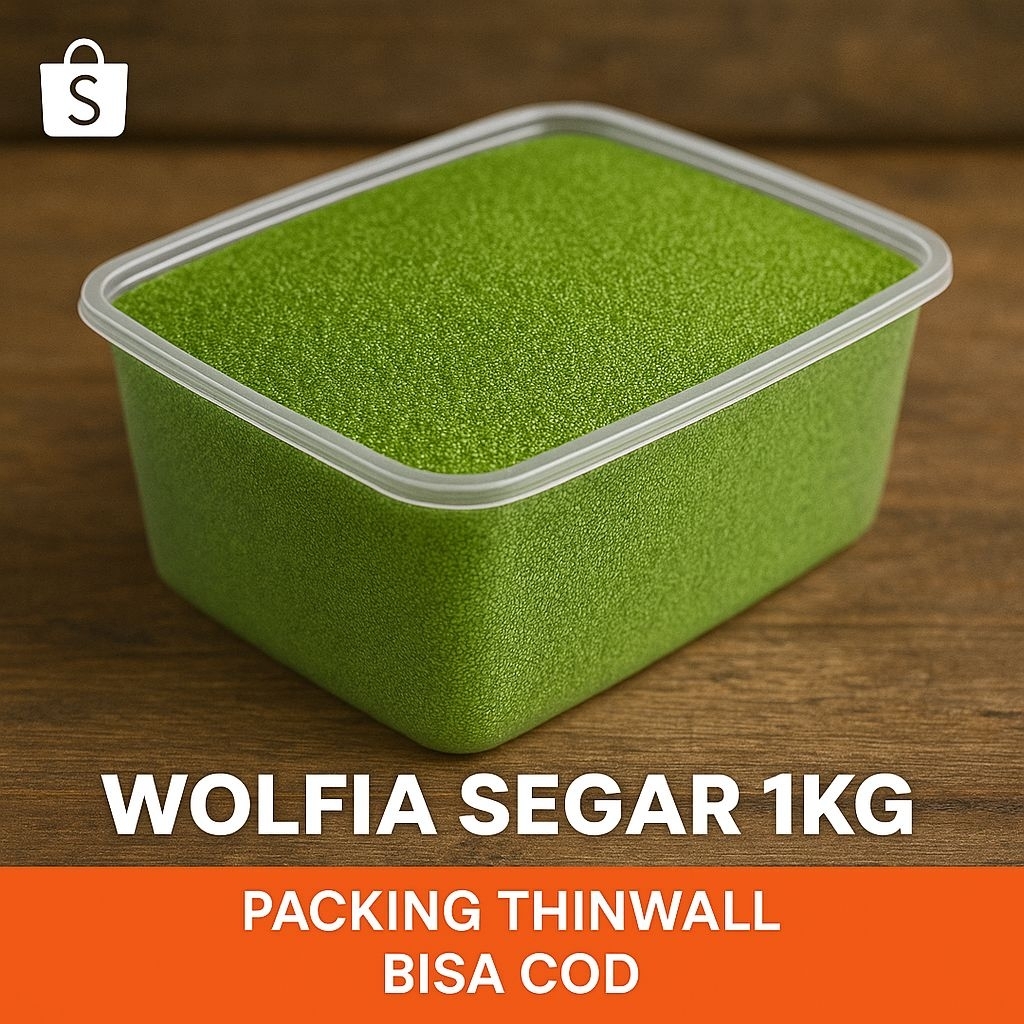 Tanaman Air Wolffia Segar 1KG Pakan Ikan Hidup Packing Thinwall
