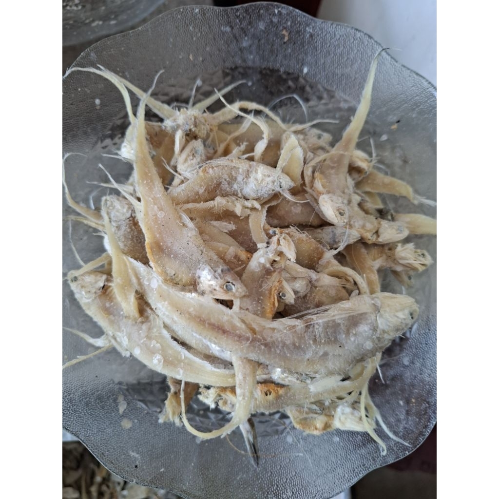 PROMO Ikan Asin Bulu Ayam / Ikan Asin Bulu Bebek Termurah