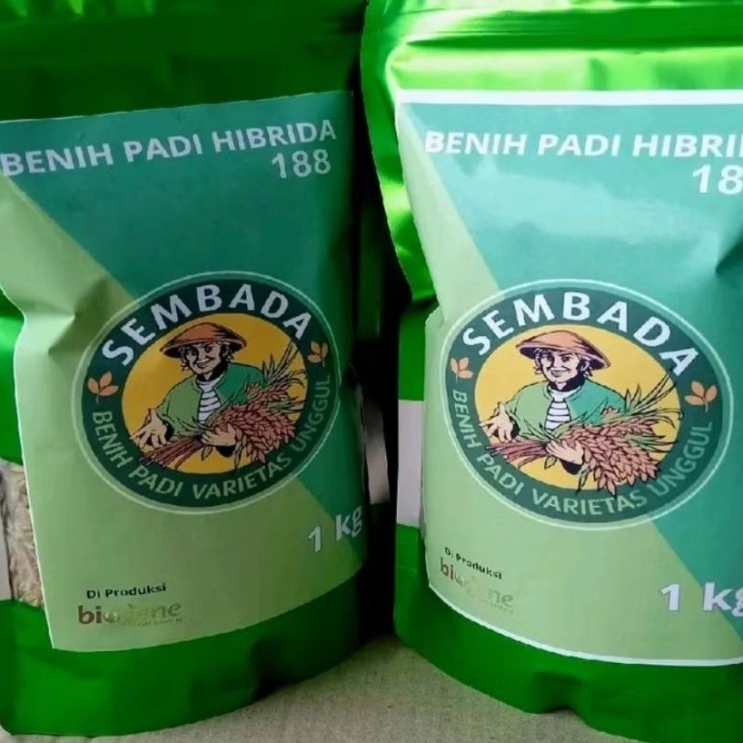1 kg BENIH PADI SEMBADA 188