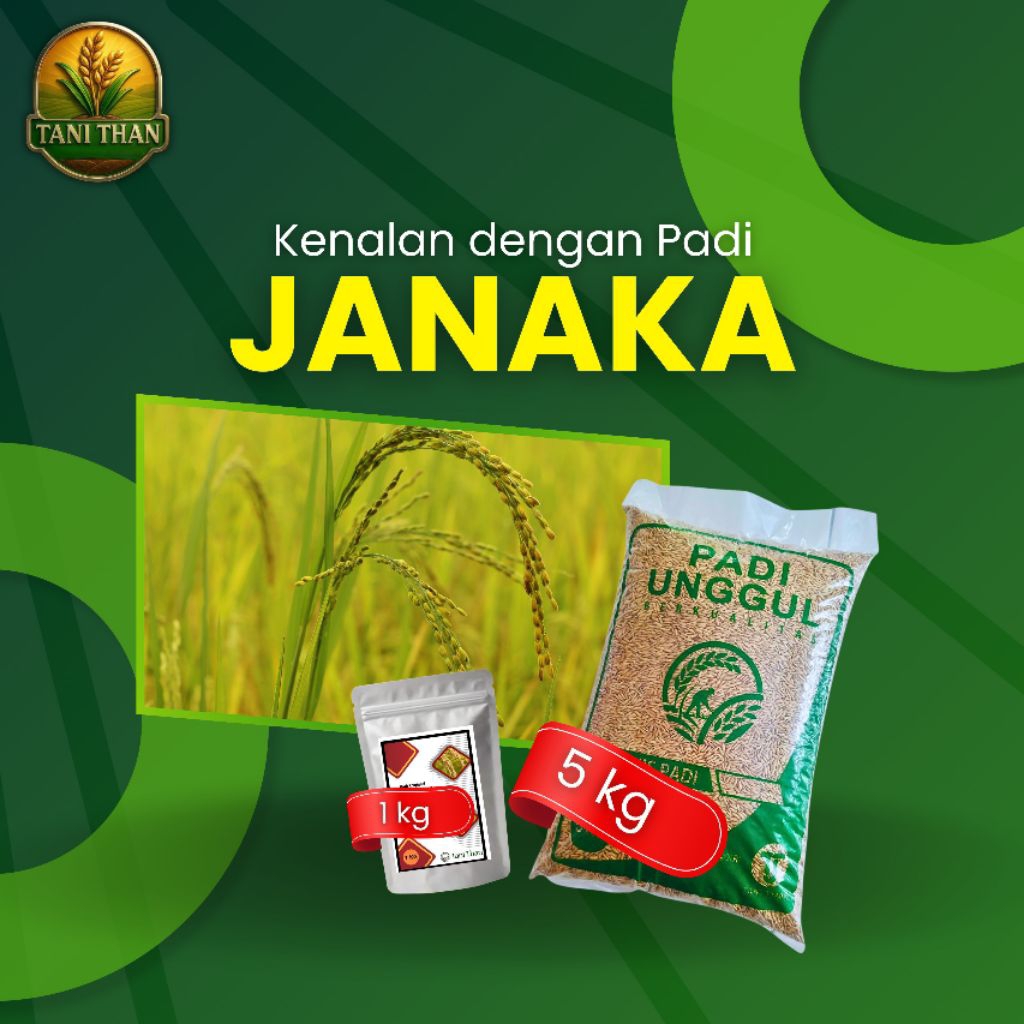 Benih Padi Janaka