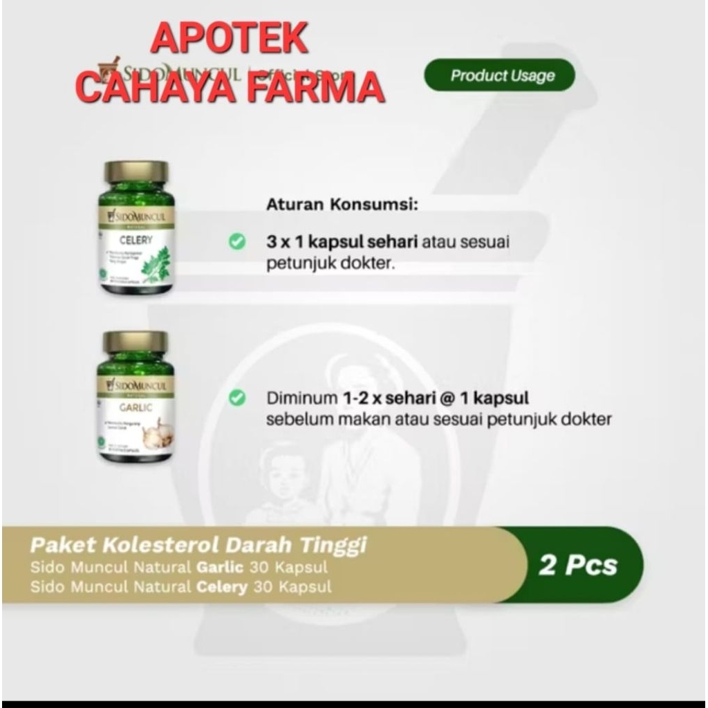 sidomuncul garlic dan celery