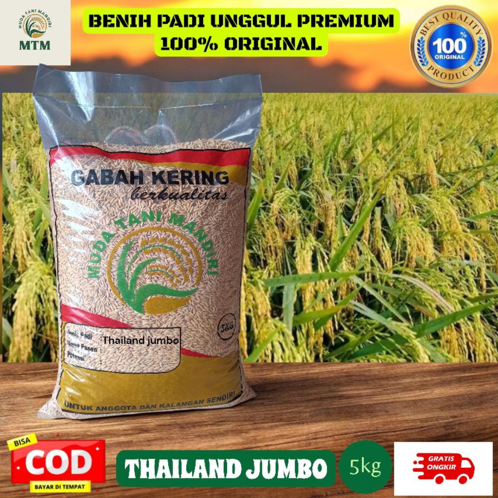 BENIH PADI UNGGUL THAILAND JUMBO 5KG ORIGINAL