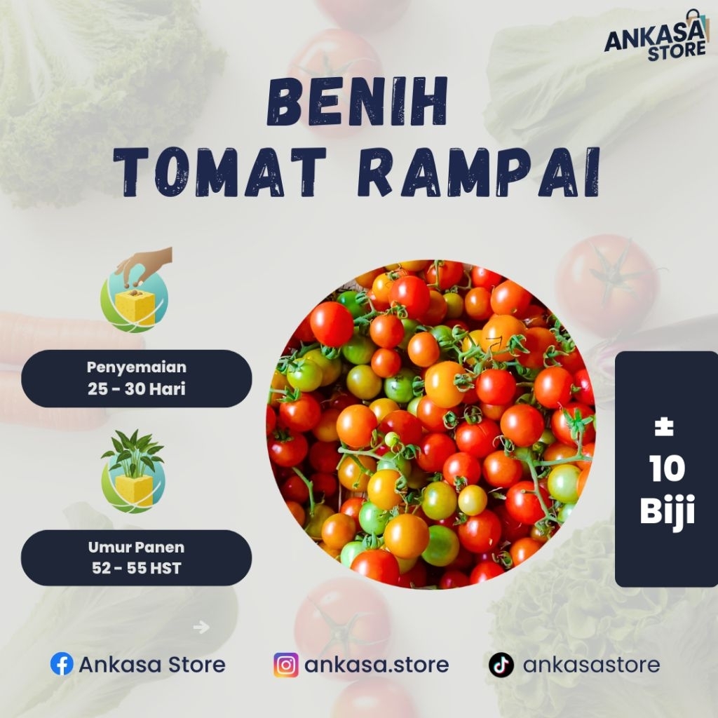 Benih Tomat Rampai