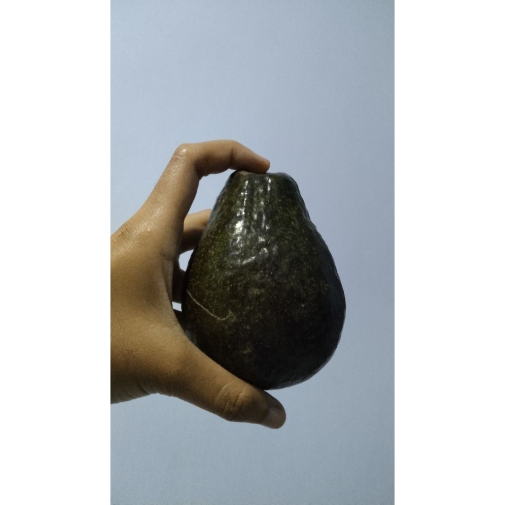 ALPUKAT MENTEGA | ES TELLER | JUS | GARNISH | DIET