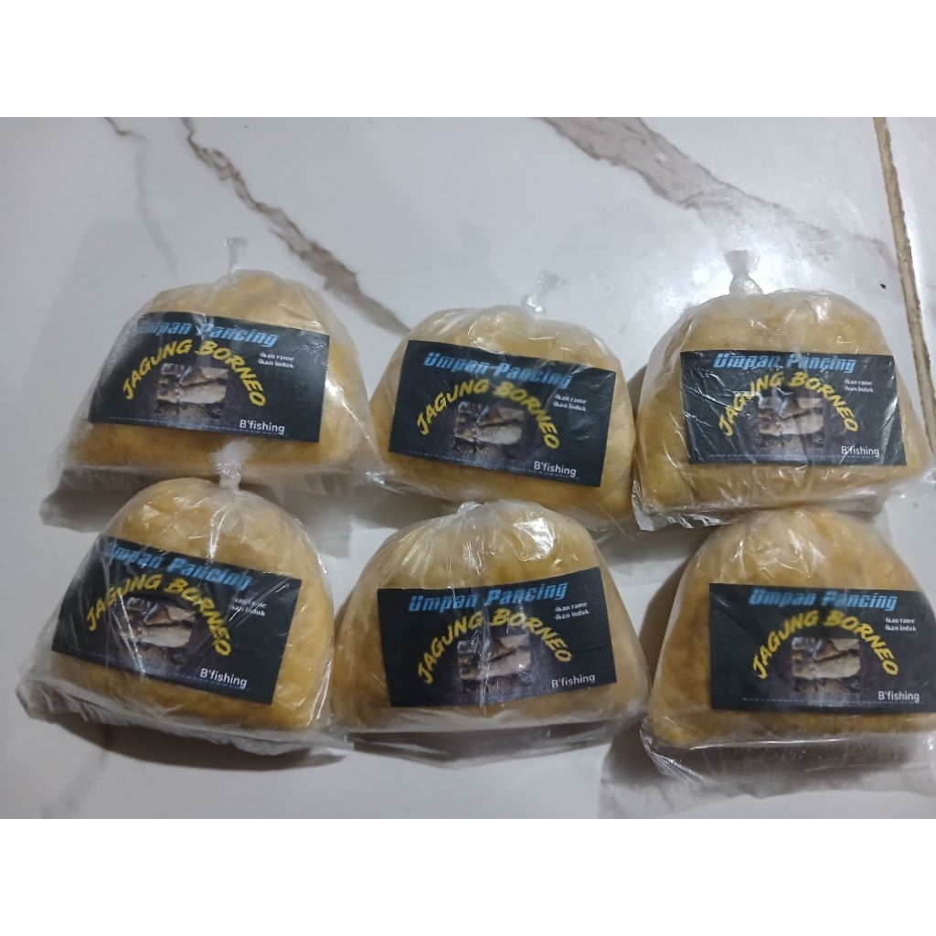 umpan ikan mas racikan Jagung Borneo