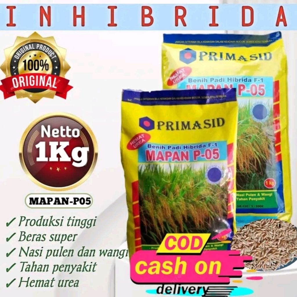 Benih Padi Bibit Mapan p05 Primasid Mapan 05 Hibrida 1kg