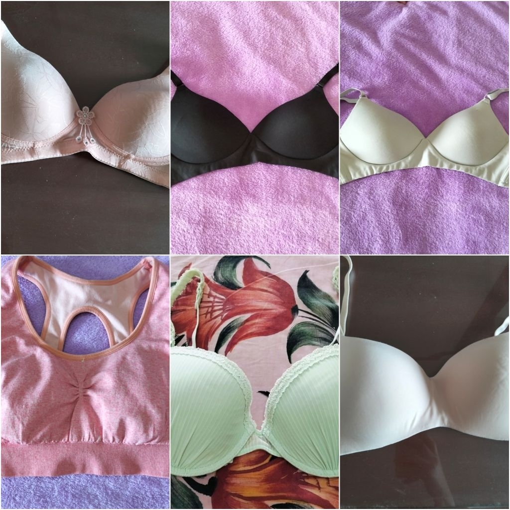 bh PL young hearts, sorella, felancy dll