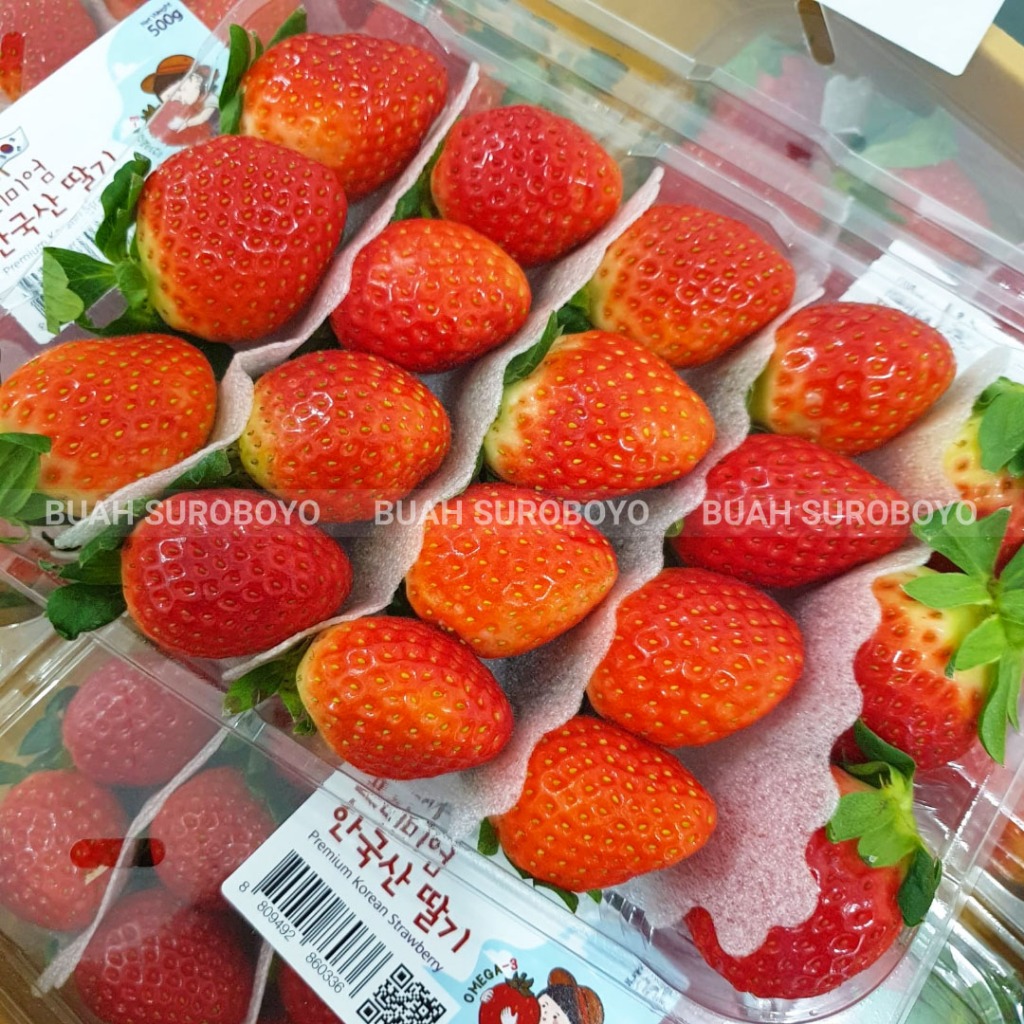 Buah Strawberry Korea JUMBO