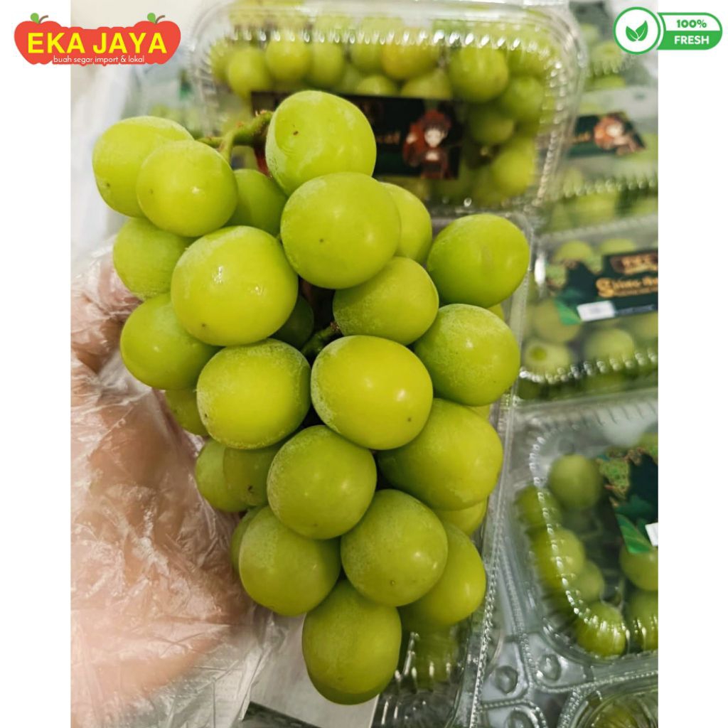 BUAH ANGGUR MUSCAT 1KG PACK MANIS FRESH / PROMO ANGGUR MUSCAT HIJAU IMPORT