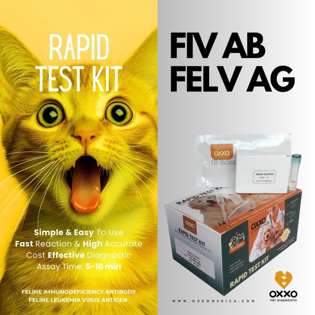 Test Kit/Rapid Test FIV/ FeLV - Feline Immunodeficiency Virus Antibody/Leukemia Virus Antigen Combo 