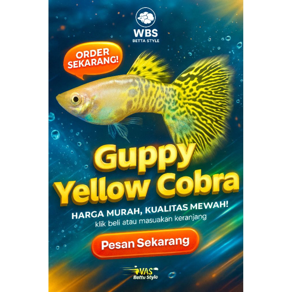ikan Guppy yellow cobra untuk hiasan aquarium dan aquascape