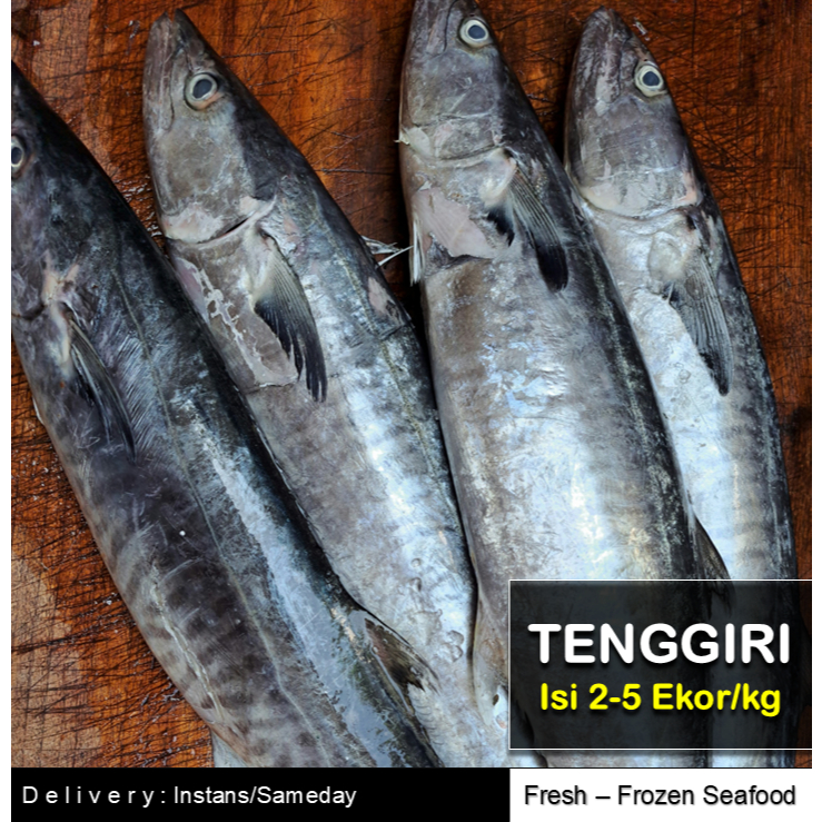 IKAN TENGGIRI SEGAR | ISI 2-5 EKOR/KG