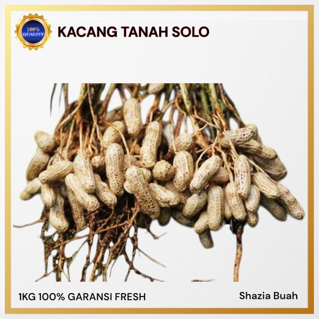 Kacang Tanah Mentah / Kacang Tanah lokal / Kacang Tanah Solo / Kacang Tanah 1Kg