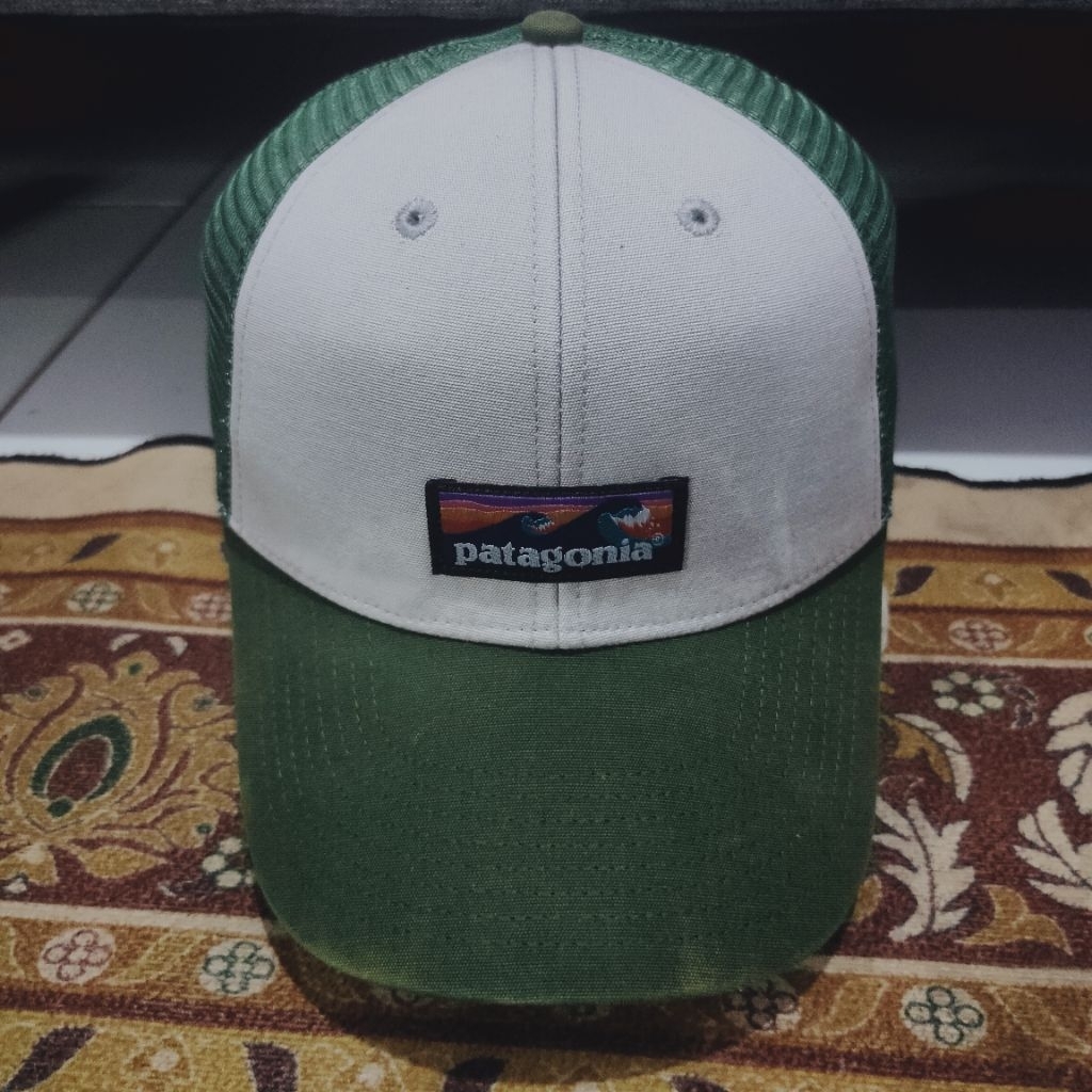Patagonia trucker caps