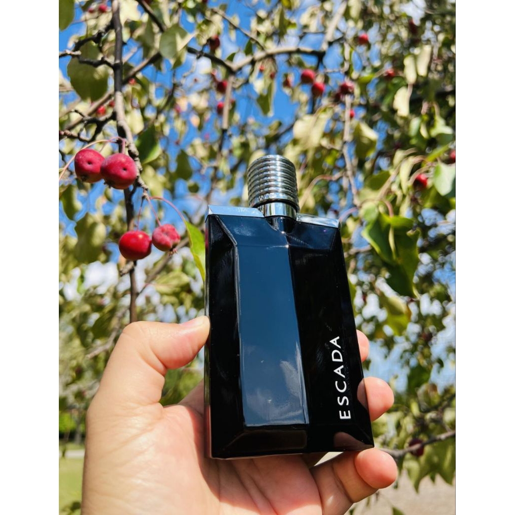 Escada magnetism men