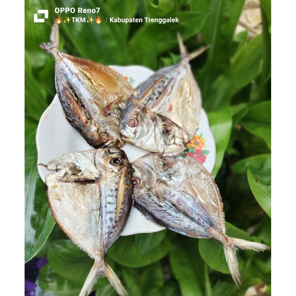 1 EKOR IKAN ASAP SEMAR FREES HIGIENIS