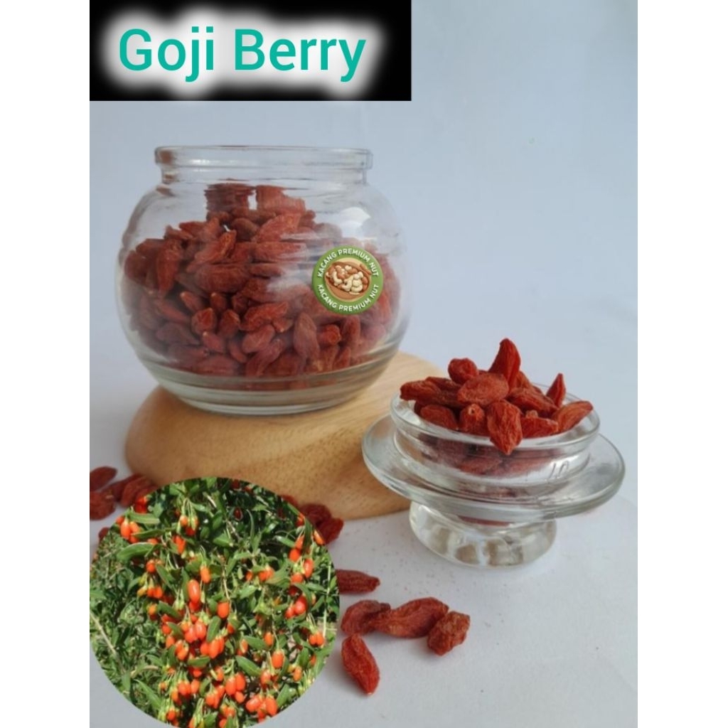 Goji berry / kici premium / goji berry