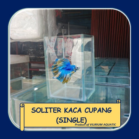 AQUARIUM KACA - AQUARIUM CUPANG / SOLITER CUPANG