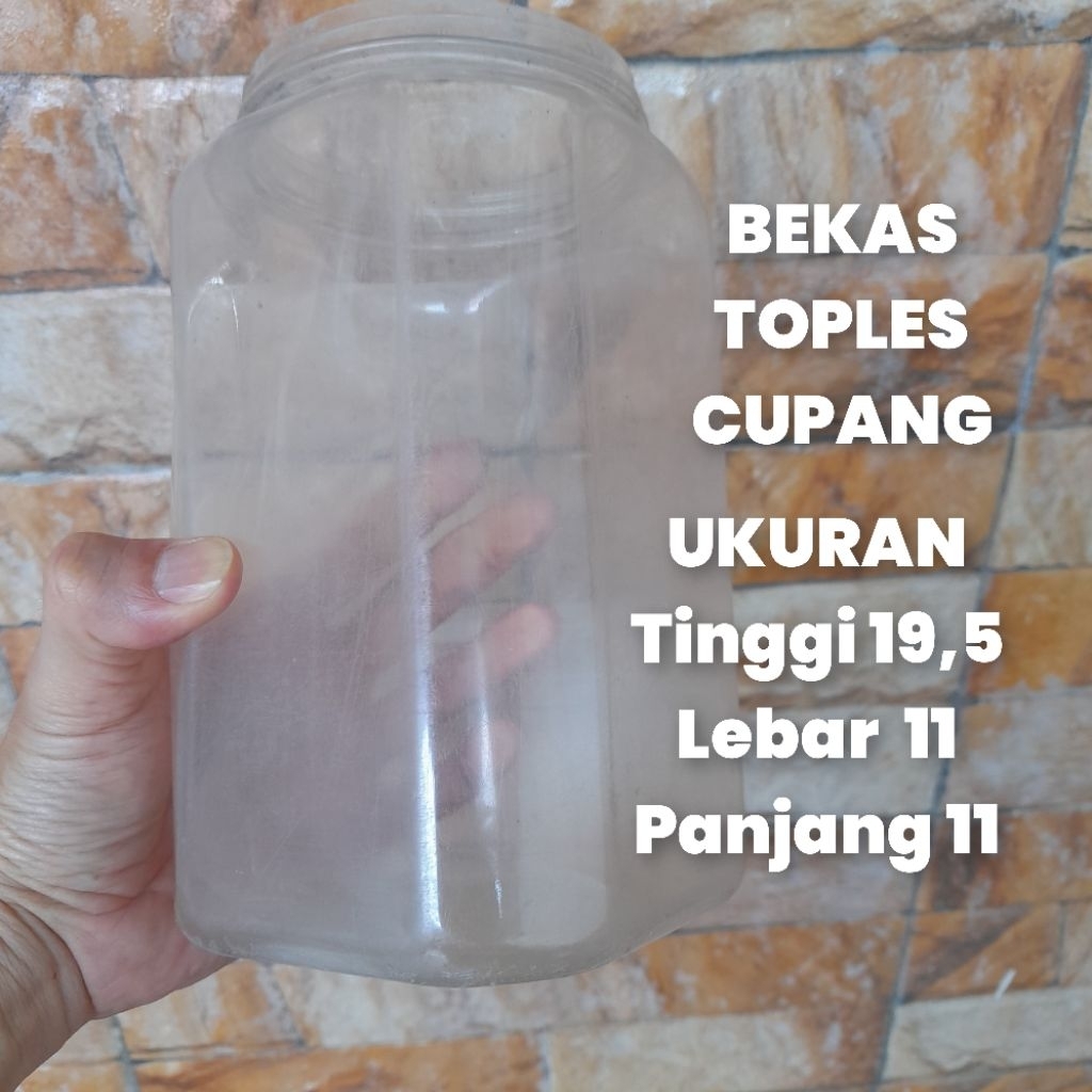 Toples Cupang Bekas Besar