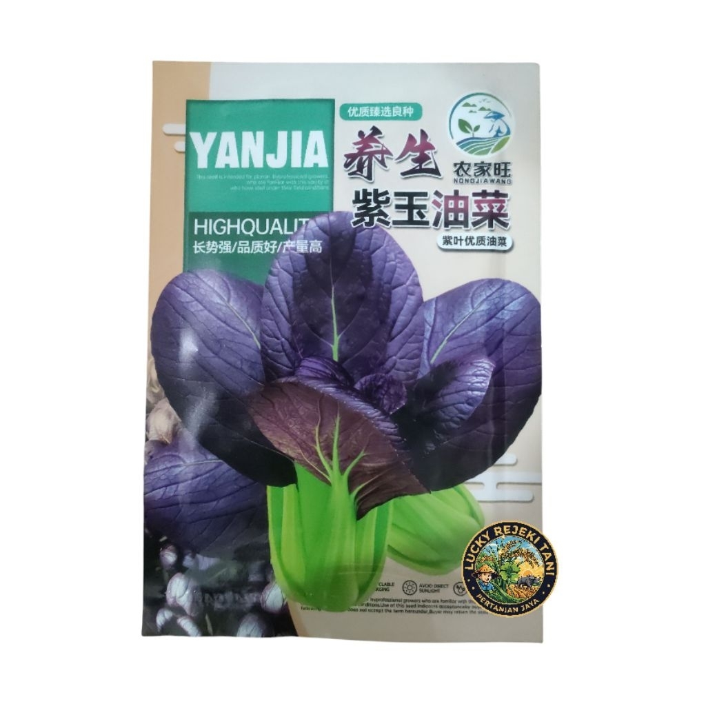 Benih pakcoy ungu cina