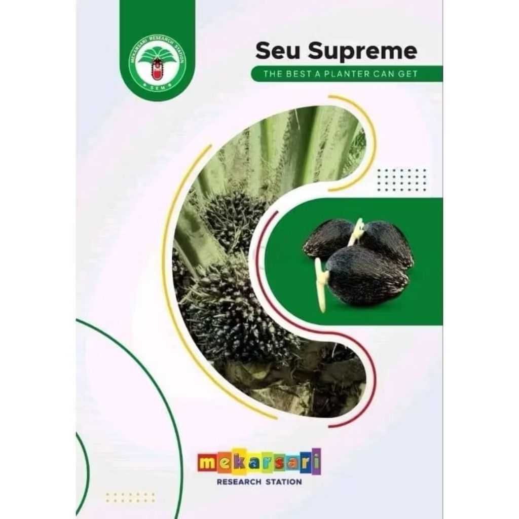 Benih/Bibit Kecambah Sawit Seu Supreme Unggul Berkualitas