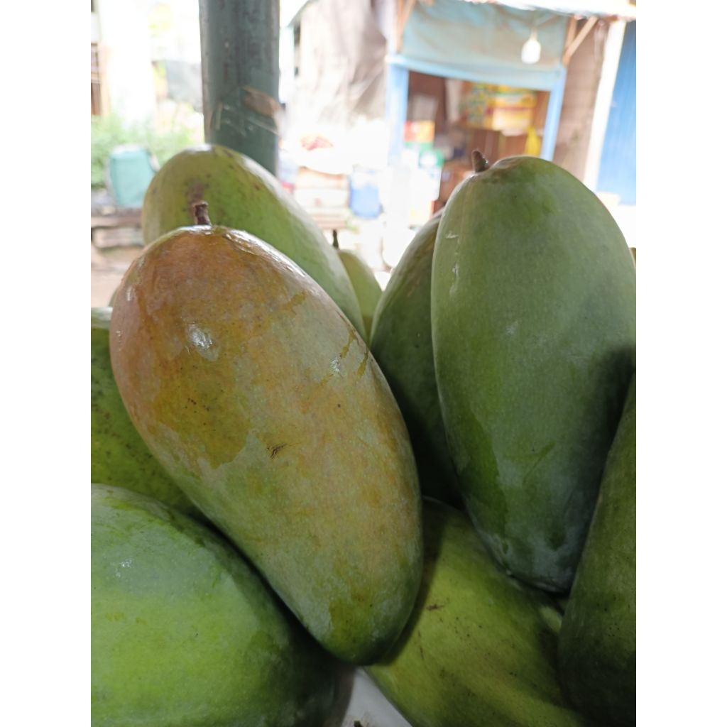 Mangga kiyojay 1kg