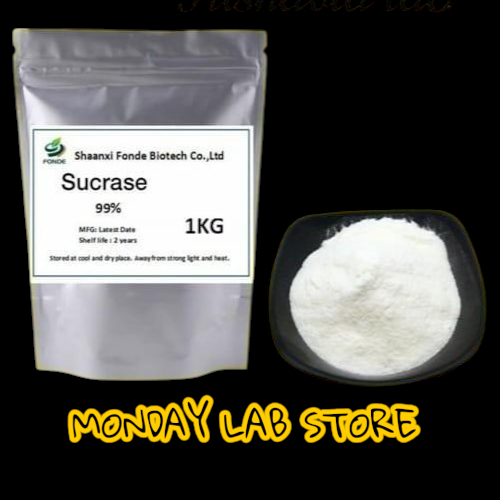 Enzim Sucrase 3 Gram / Invertase Powder 3 Gram