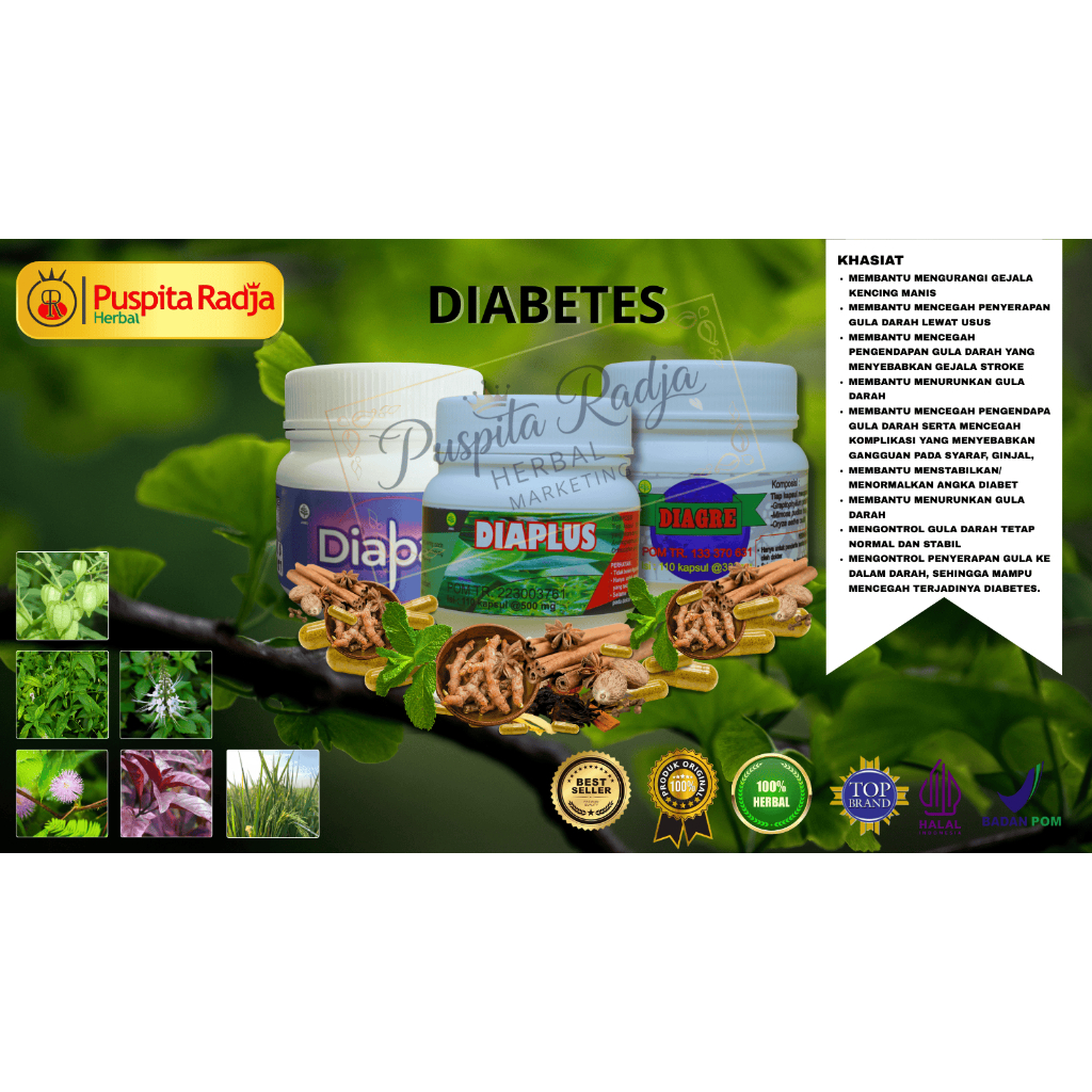 Paket Spesial Diabetes Puspita Radja Herbal